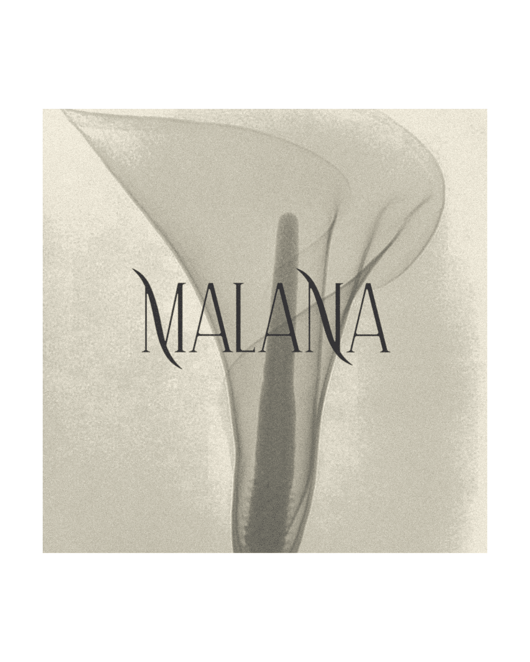 MALANA Madrid